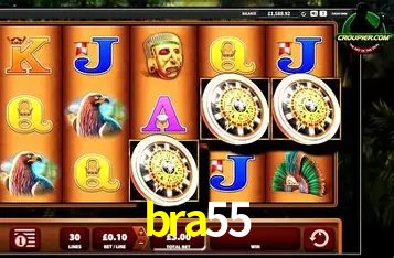 Descubra o Programa VIP da bra55: Vantagens Exclusivas para Jogadores